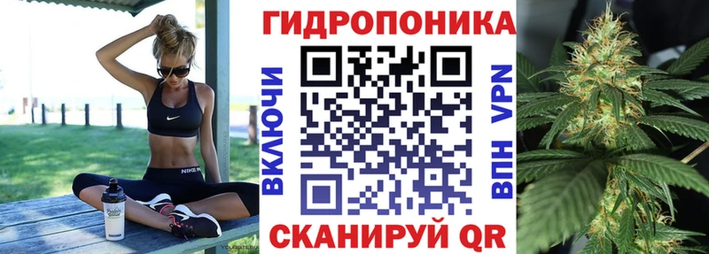 Каннабис планчик Венёв